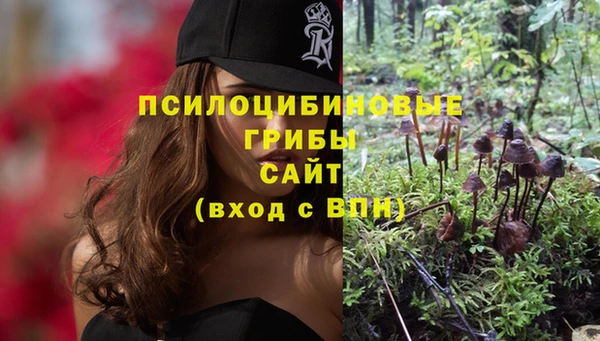 ГАЛЛЮЦИНОГЕННЫЕ ГРИБЫ Вяземский