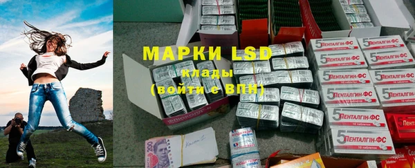 ГАЛЛЮЦИНОГЕННЫЕ ГРИБЫ Вяземский