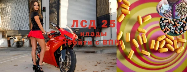 СК Володарск