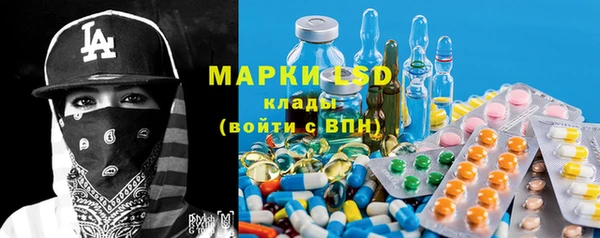 ГАЛЛЮЦИНОГЕННЫЕ ГРИБЫ Вяземский