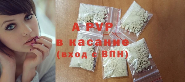 ГАЛЛЮЦИНОГЕННЫЕ ГРИБЫ Вяземский