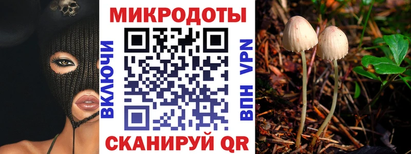 Псилоцибиновые грибы мицелий Юрга